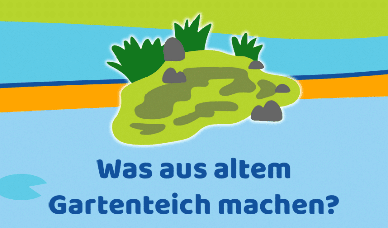 Was aus einem alten Gartenteich machen? (8 Ideen)