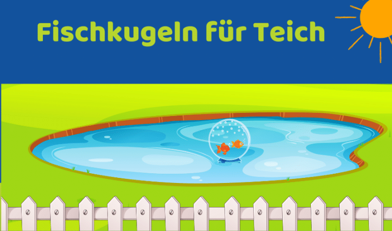 Fischkugeln für den Teich: Tipps zur optimalen Nutzung und Pflege (Ratgeber)
