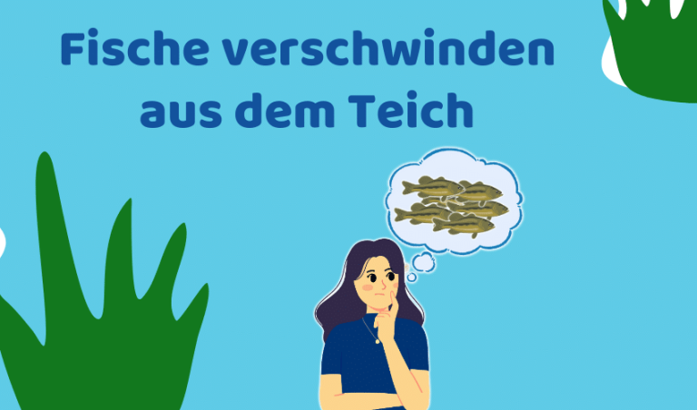 Fische verschwinden aus dem Teich (mögliche Fischräuber)