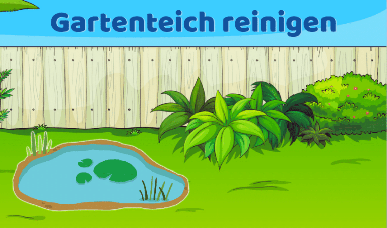 Gartenteich reinigen: In 7 einfachen Schritten säubern (Ratgeber)