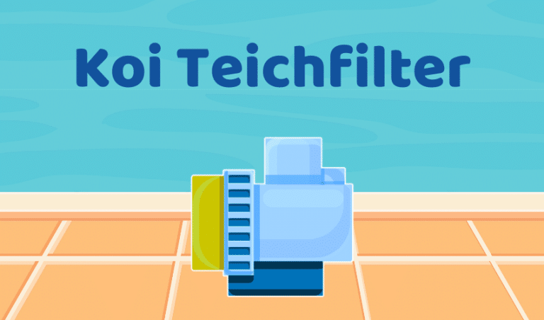 Koi Teichfilter Test: Die 5 besten für klares Wasser (Bestenliste)