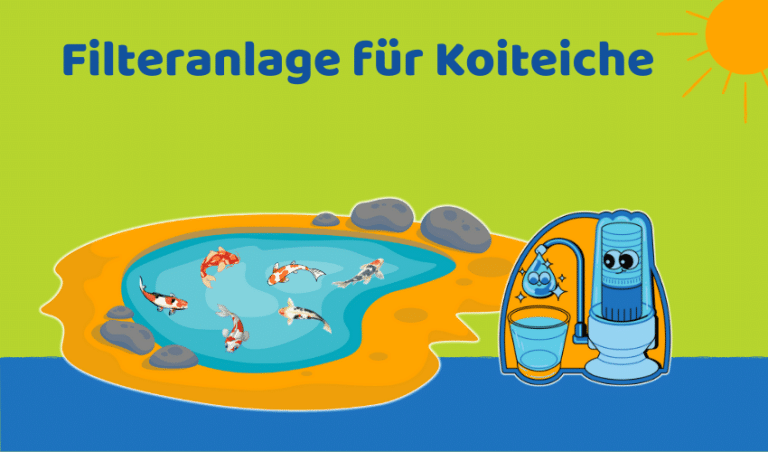 Filteranlagen für Koiteiche: 5 Tipps zur Auswahl der besten (Ratgeber)