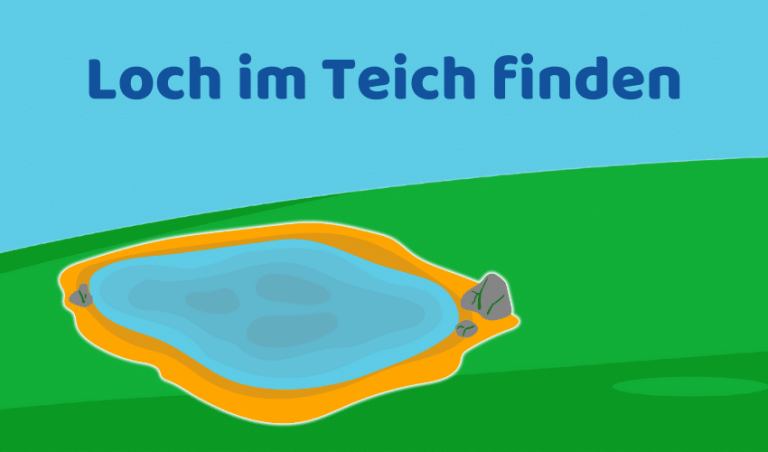 Loch im Teich finden: 9 Tipps und Tricks zur Suche (hilfreich)