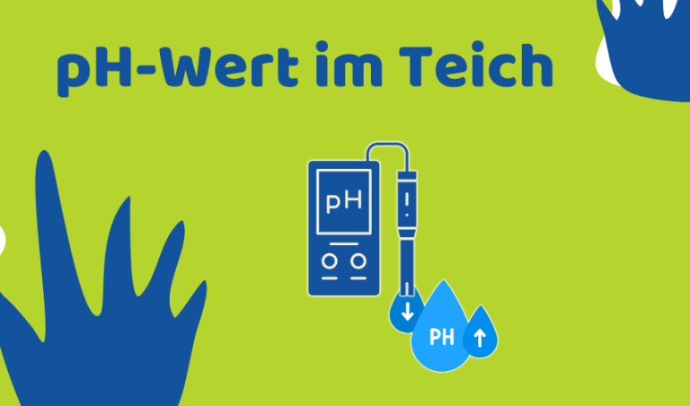 pH-Wert im Teich: So messen, erhöhen und stabilisieren (Ratgeber)