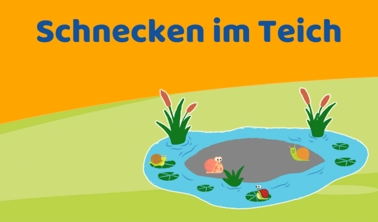 Schnecken im Teich: Gut oder bekämpfen? (mit Tipps)