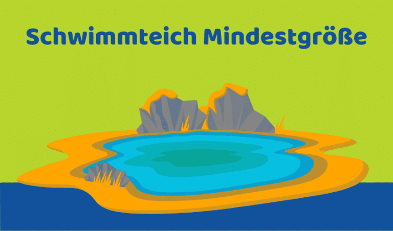 Schwimmteich Größe planen: So Mindestgröße bestimmen (Tipps)