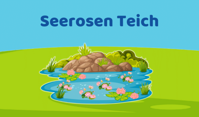 Seerosen im Teich pflanzen und pflegen: So gelingt's (Ratgeber)