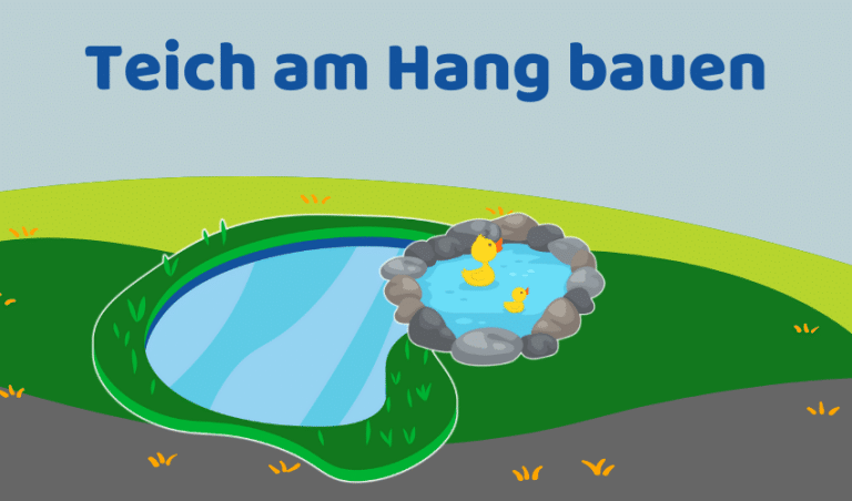 Teich am Hang bauen: 9 wichtige Tipps für die Planung (Ratgeber)
