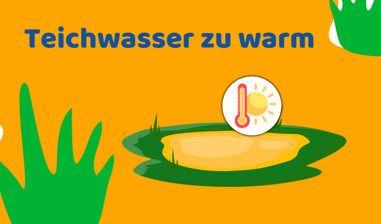 Teich kühlen: 7 Tipps für heiße Sommertage (Ratgeber)