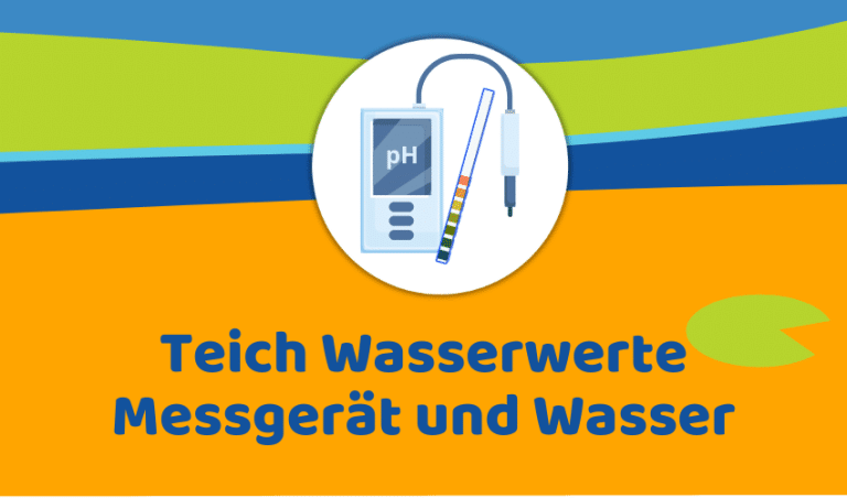 Teich Wasserwerte messen: Wie? Wie oft? Und was messen?