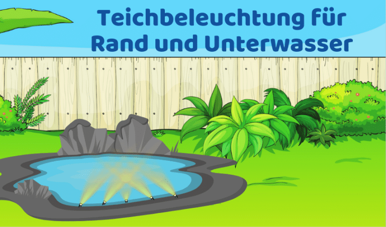 Teichbeleuchtung: 6 Ideen für deinen Teich (erleuchtend!)