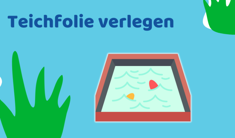 Teichfolie verlegen: Richtig und faltenfrei in 9 Schritten