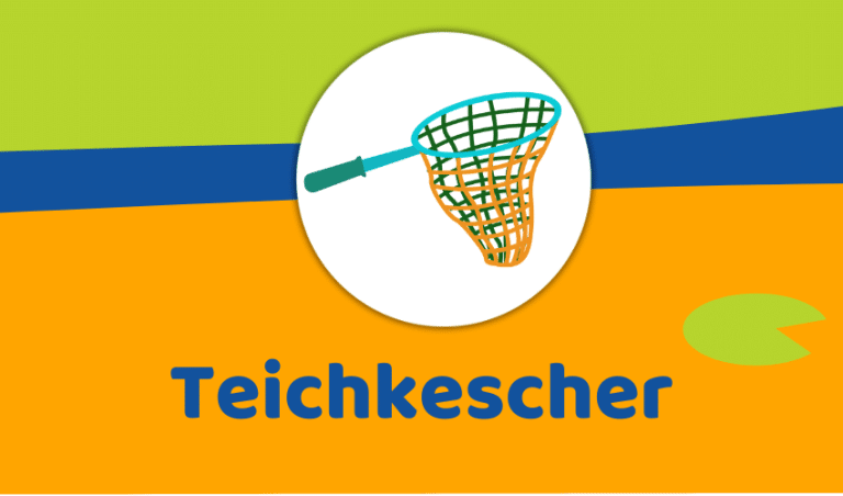 Teichkescher Test: Die 5 besten für sauberes Wasser (Bestenliste)