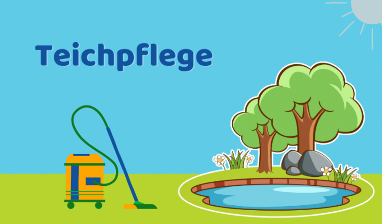 Teichpflege: 7 wichtige Maßnahmen für klaren Teich (mit oder ohne Pumpe)