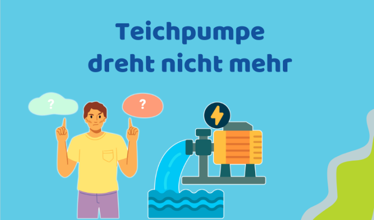 Teichpumpe dreht nicht mehr: 7 mögliche Ursachen und Lösungen