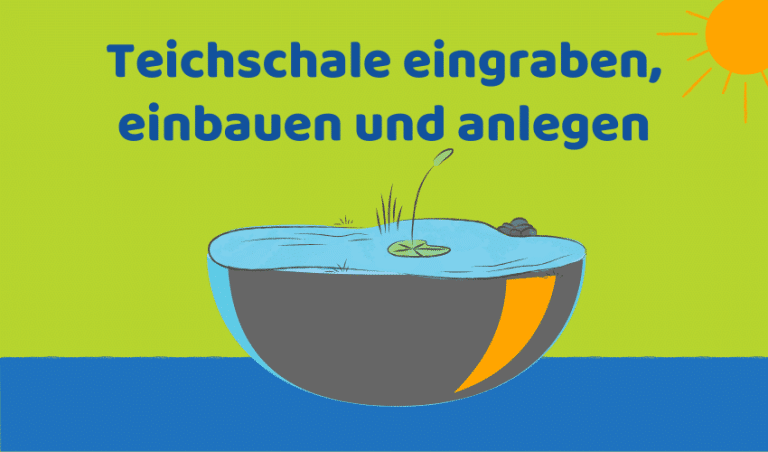 Teichschale einbauen: 13 Schritte für schönen Gartenteich (Ratgeber)