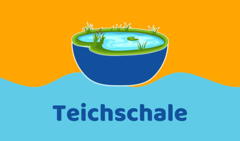 Teichschalen Test: Die 5 besten für deinen Garten (Bestenliste)