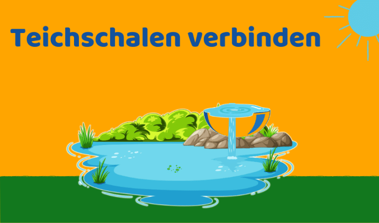 Teichschalen verbinden: 5 Tipps für kreative Wasserlandschaften (Ratgeber)