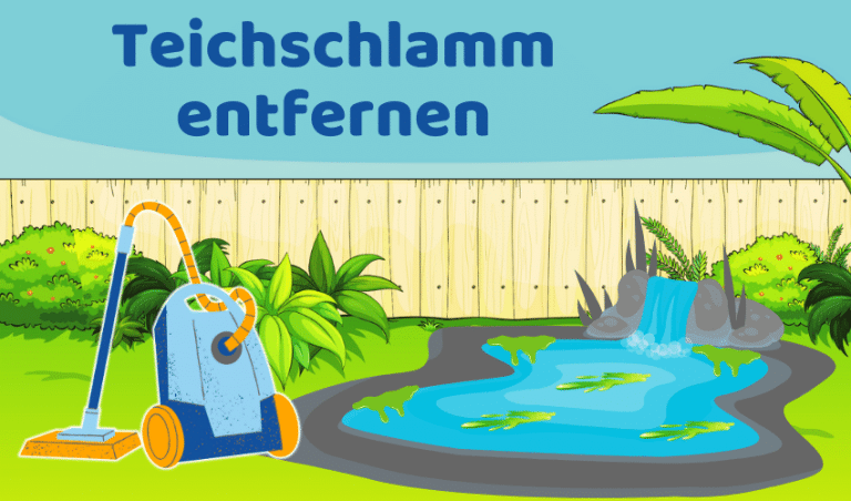 Teichschlamm entfernen: 8 Methoden für sauberen Teich (Ratgeber)