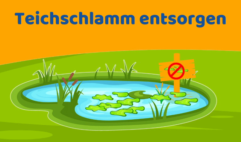 Teichschlamm entsorgen: 4 einfache Möglichkeiten für Lösung (Ratgeber)