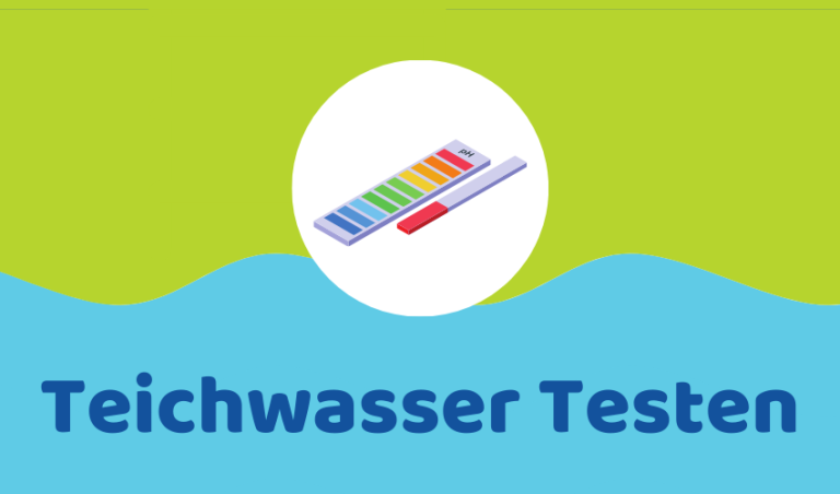 Teichwasser testen: 5 einfache Möglichkeiten (Anleitung)