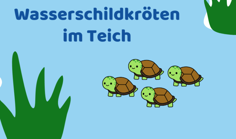 Wasserschildkröten im Teich halten: 10 Tipps (Ratgeber)