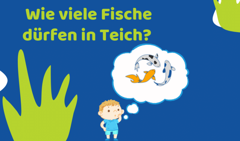 Wie viele Fische dürfen in den Teich? (Fischbesatz berechnen)