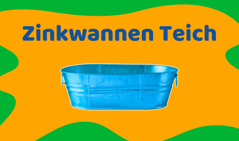 Zinkwannen Teich anlegen: In 10 Schritten zum Gartenteich (Ratgeber)